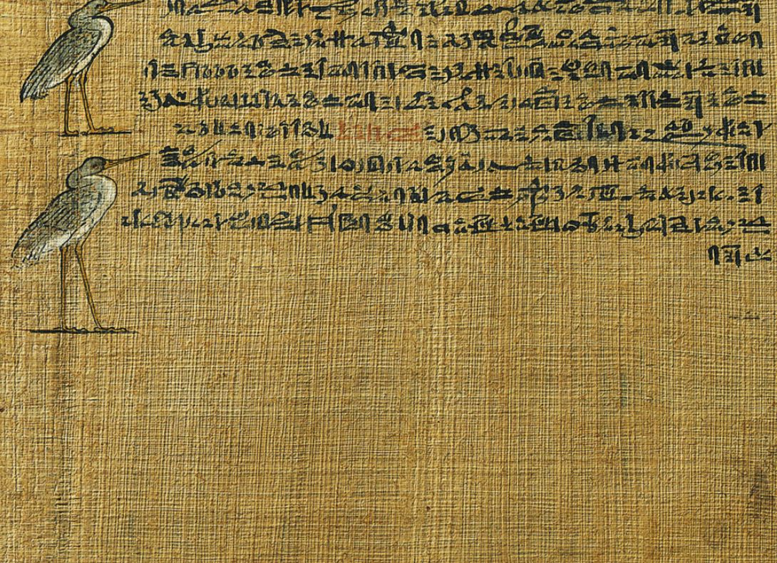 Papyrus issu des collections de la BNF